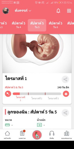 กี่เดือนแล้วค้ะ
