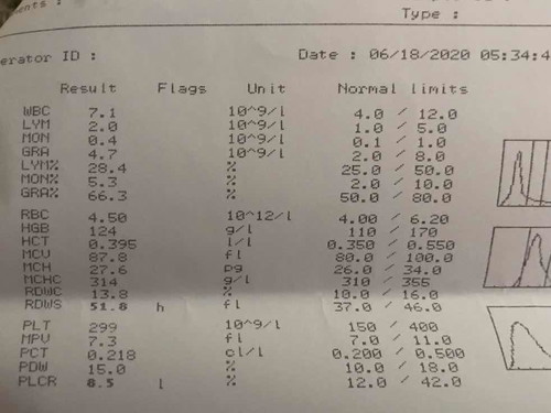 Lab results first trimester 8w3d