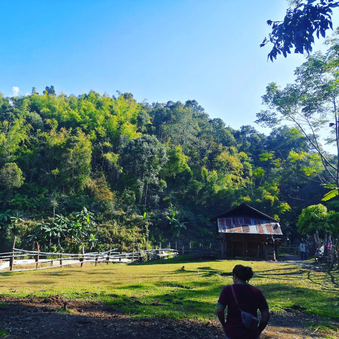 PD IPERS profile icon