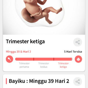 hamil pertama