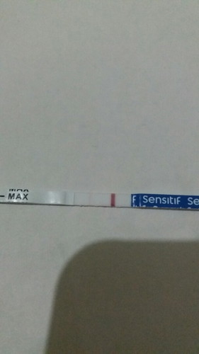 TP samar