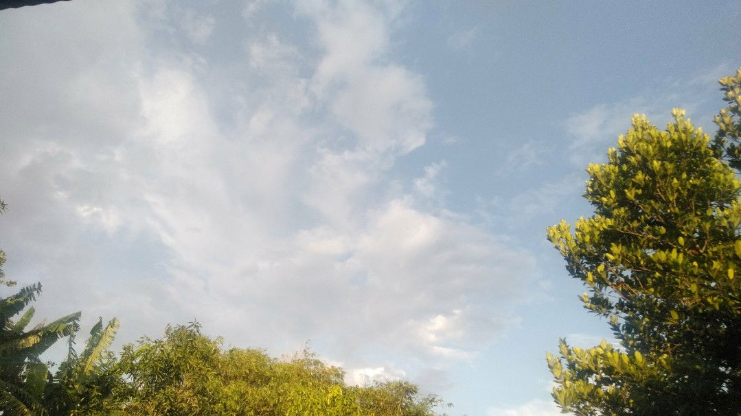 fera iqbal sari profile icon