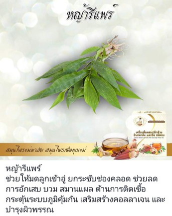 บำรุงน้ำนม