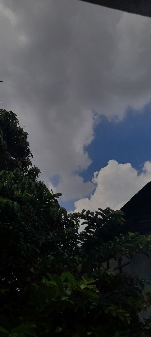 Nuraini Istiqomah profile icon