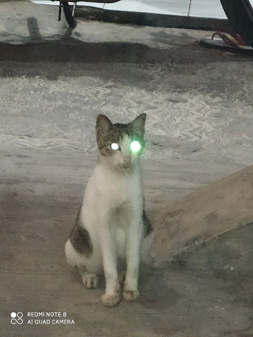 mba konyel profile icon