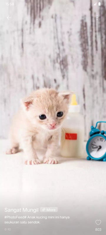 Indah Nurcahayani profile icon