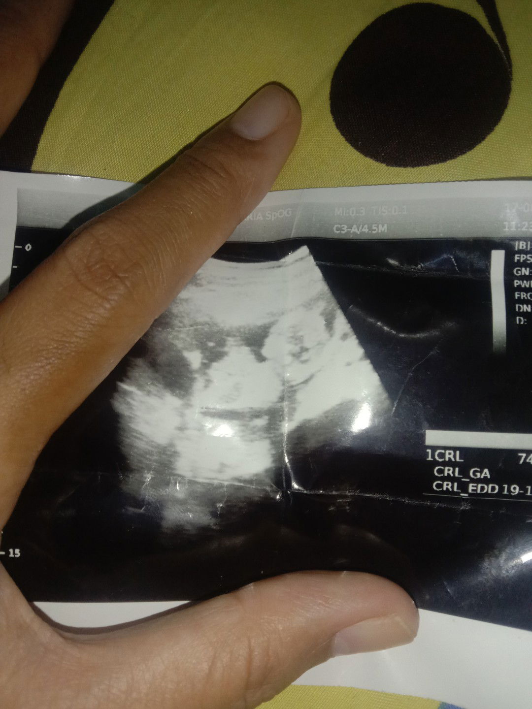 Niscala Bumi profile icon