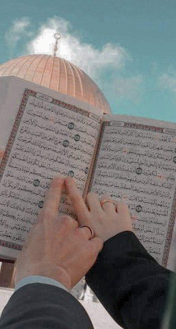 najla almusawa profile icon