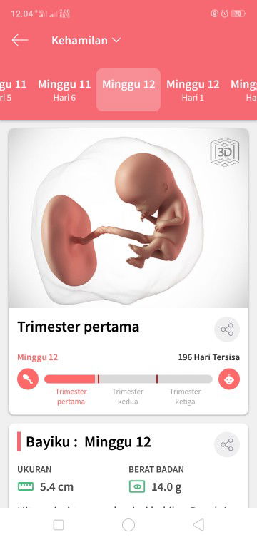 trimester pertama
