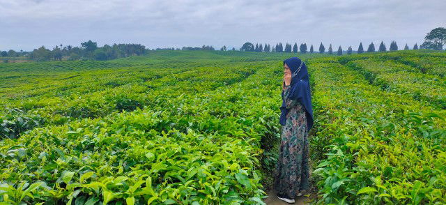 Shantika Dewi profile icon