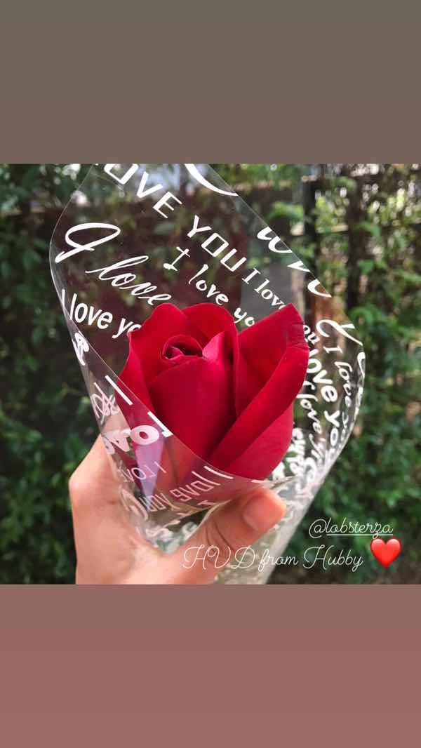 November Dream profile icon