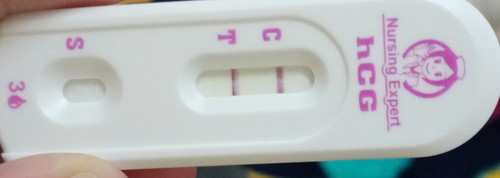 adakah saya pregnant