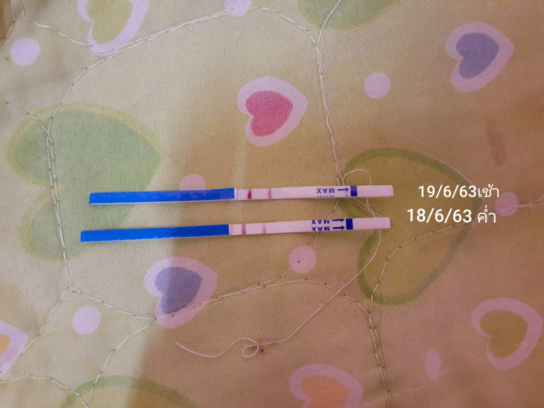 ตั้งครรภ์