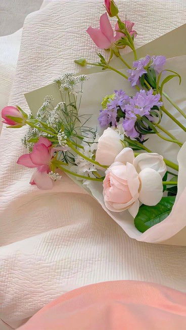 Aisyah nur Rosyidah profile icon