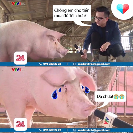 Chồng đưa tiền tiêu Tết