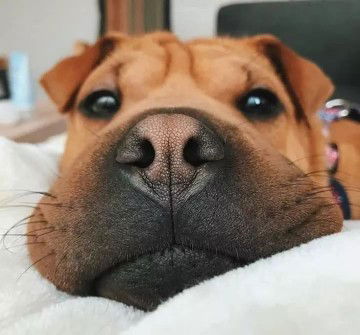 ส้ม? profile icon