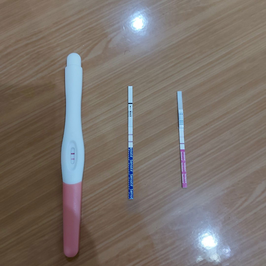 Sheila Shandyta profile icon