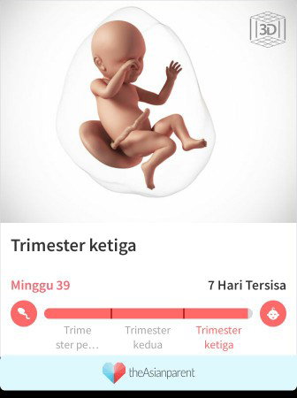 Menanti kelahiran