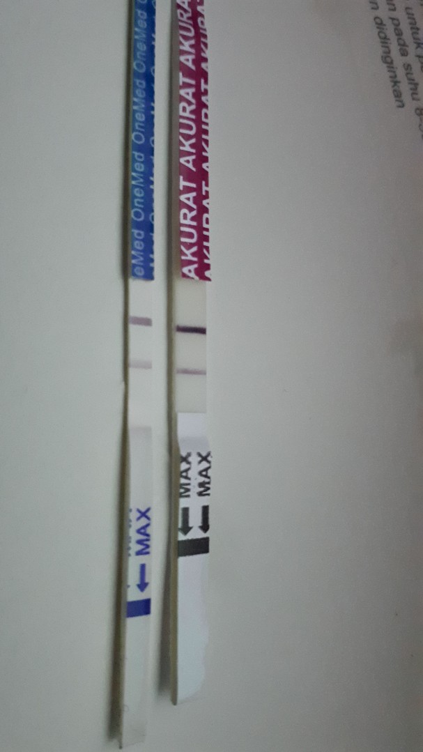 bingung