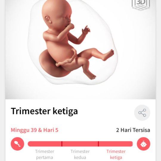 Hpl 2hari Lagi Tapi Belom Ada Tanda2 Buat Lahiran