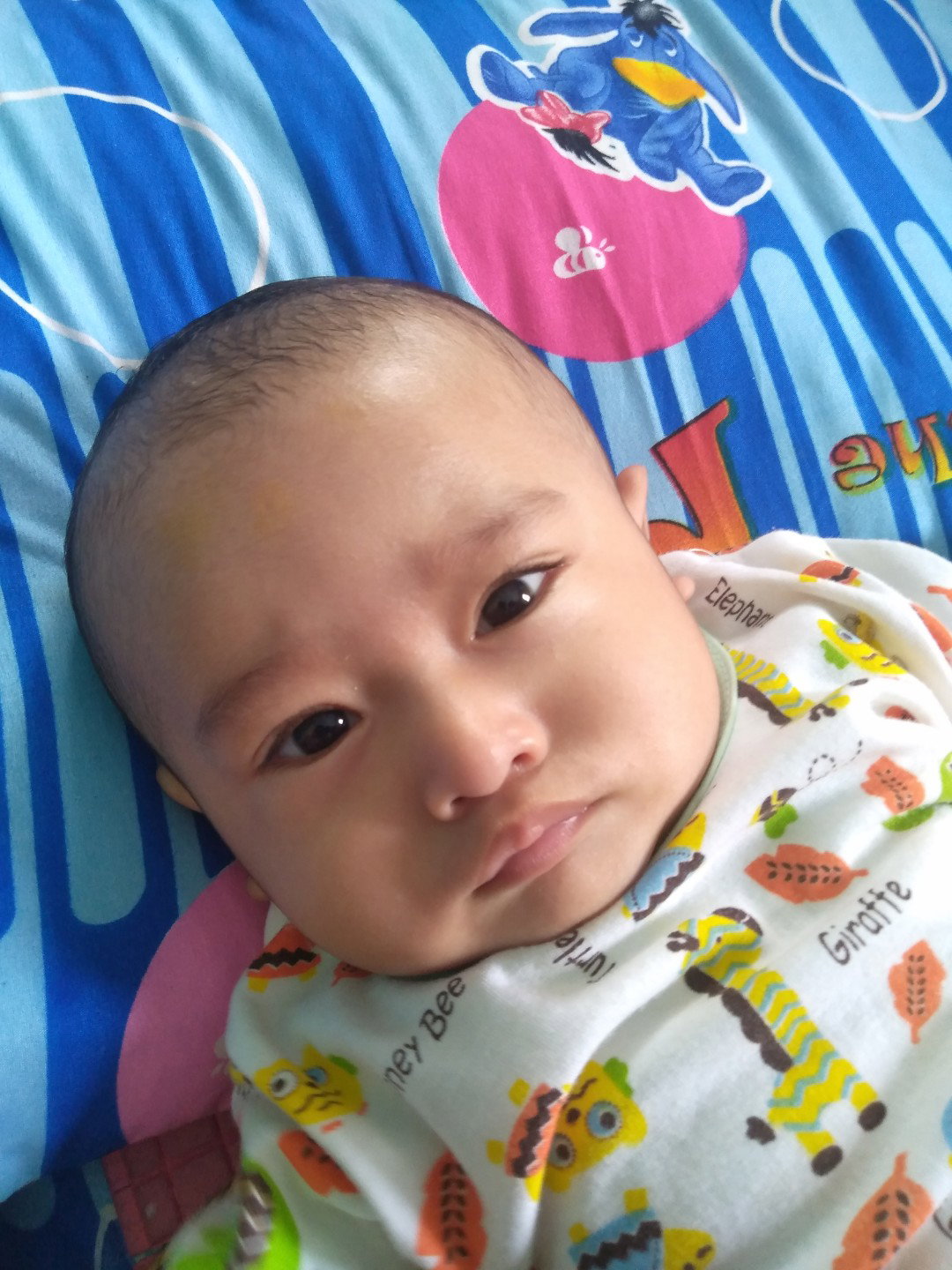 Muhammad Algifari profile icon