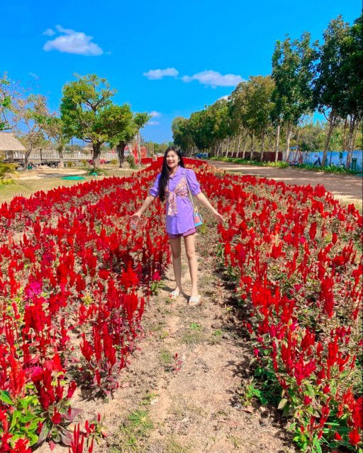 เป็ดด' หัวปื๊บ'บบ profile icon