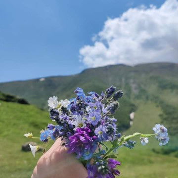 Eka Melani profile icon