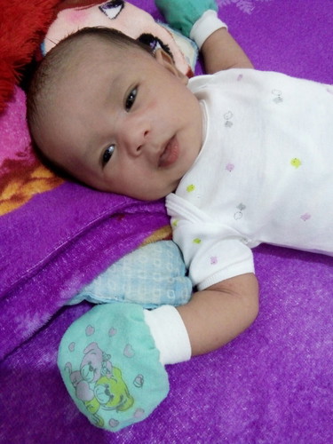 bantu pilih