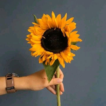 Madel Masaganda profile icon