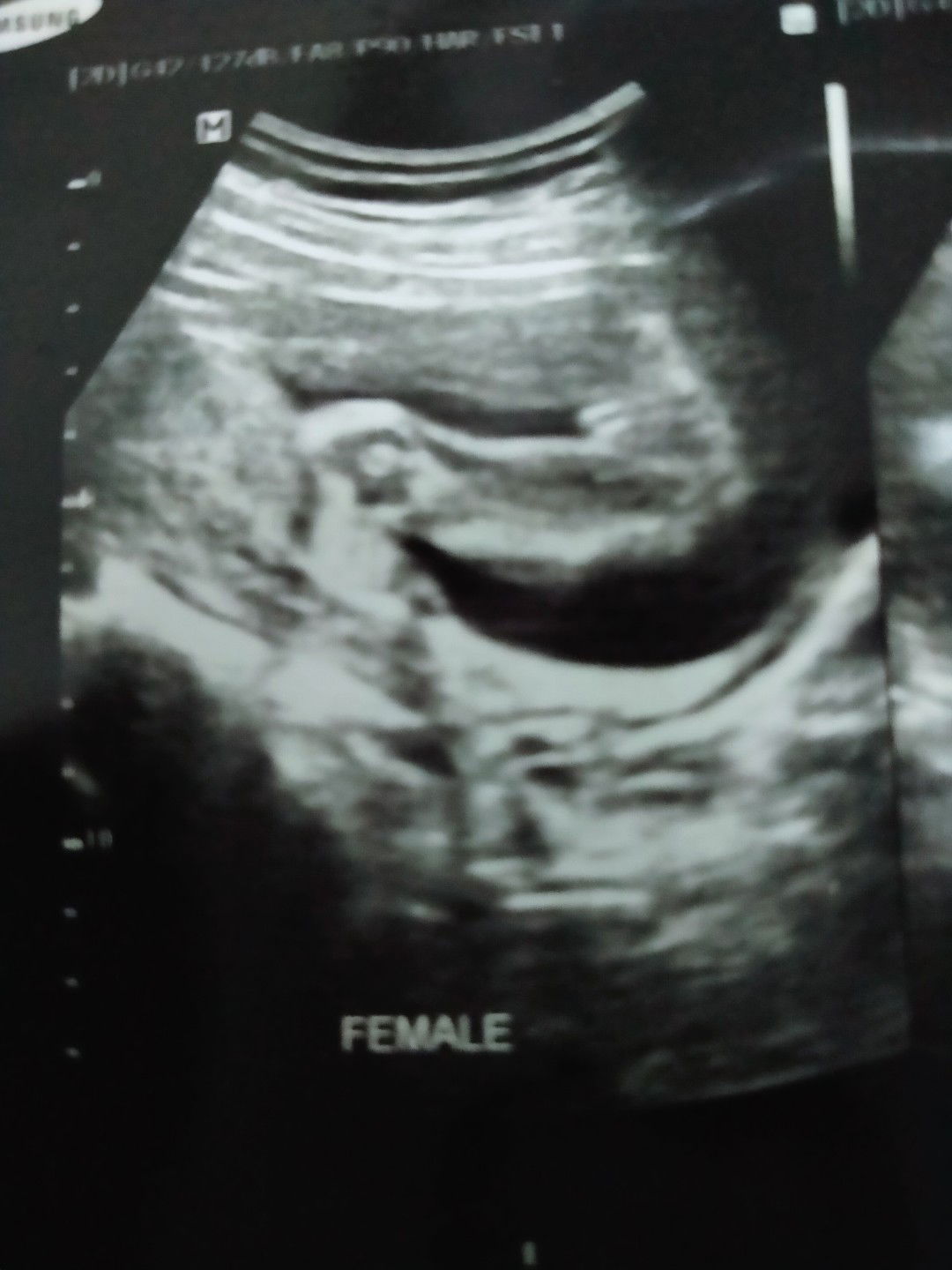 พลอย ไพลิน profile icon