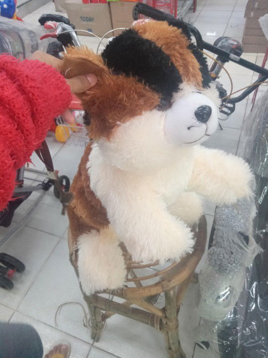 azzahra deolinda fany profile icon