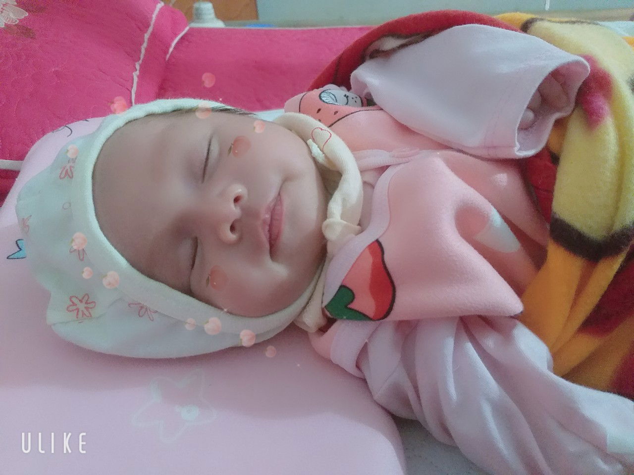 NGUYỄN GIA HƯNG profile icon