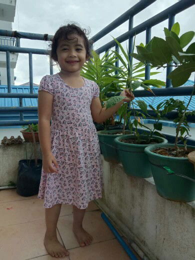 Cheeankell Chee profile icon