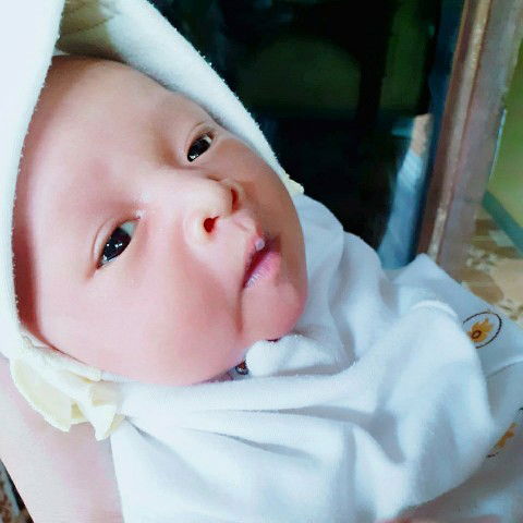 Alfina Rahayu profile icon