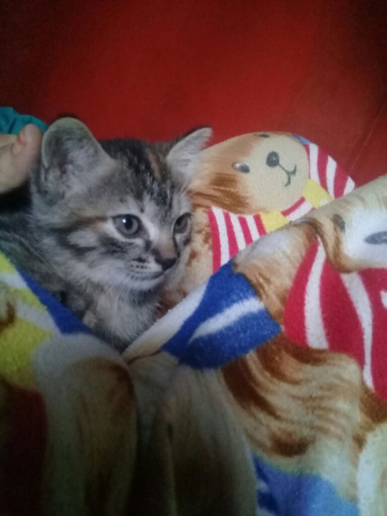 mama cahya profile icon