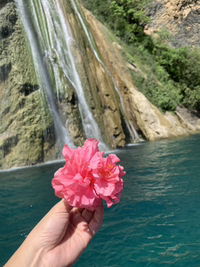 mommyfe profile icon