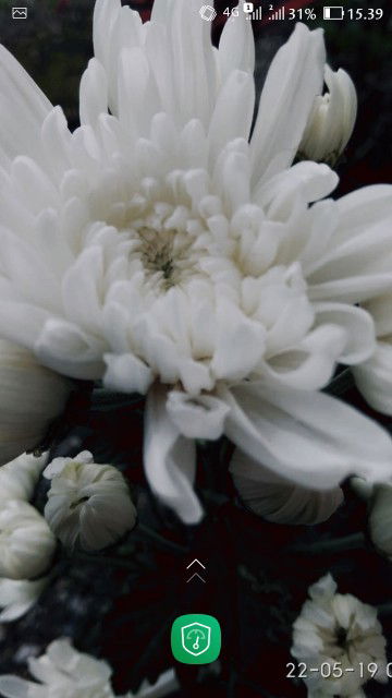 Ndaa Minda profile icon