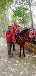 Triwulandari Wulan profile icon