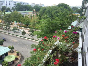 bich ngoc profile icon