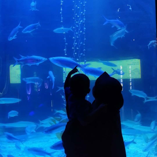 Ashma Huda Santika profile icon