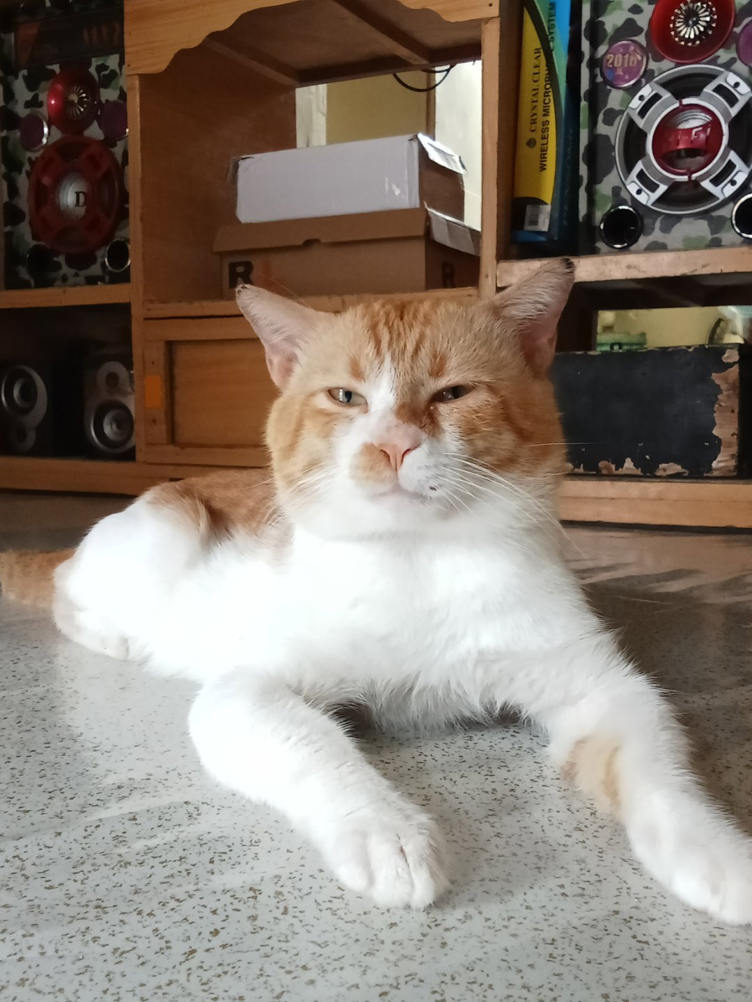 Gizell Loberes profile icon