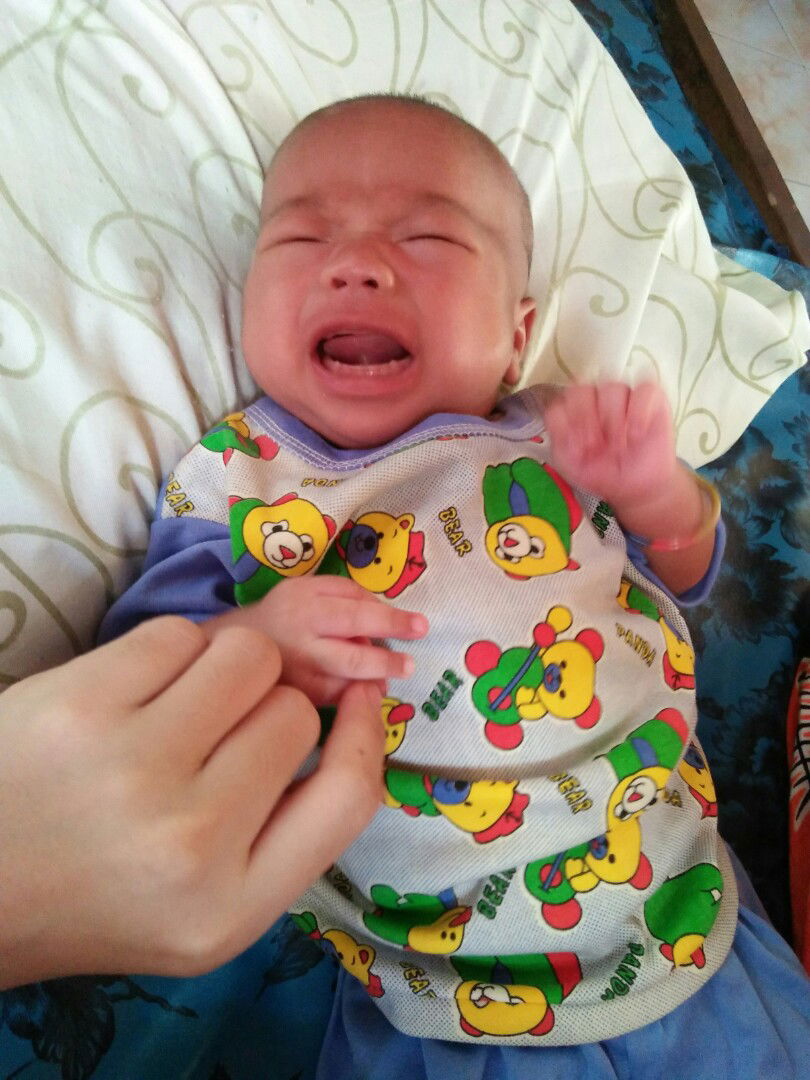 Gusi bayi seperti taring