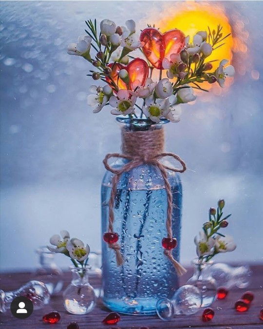 นิสา​ สุนิสา profile icon