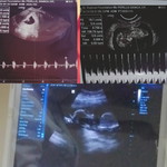 Danica DelosReyes profile icon