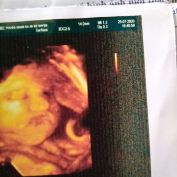 Ngọc Sám profile icon