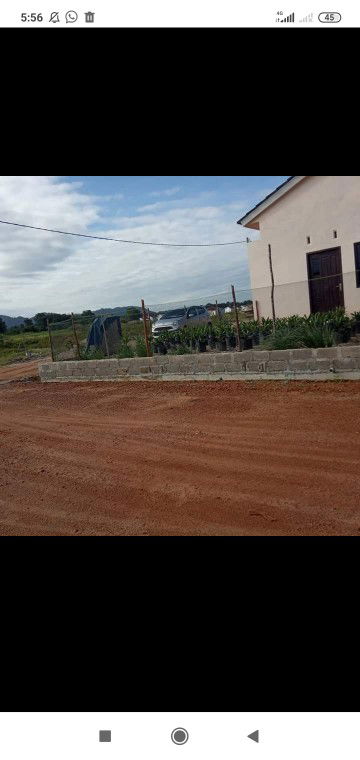 Canny d profile icon