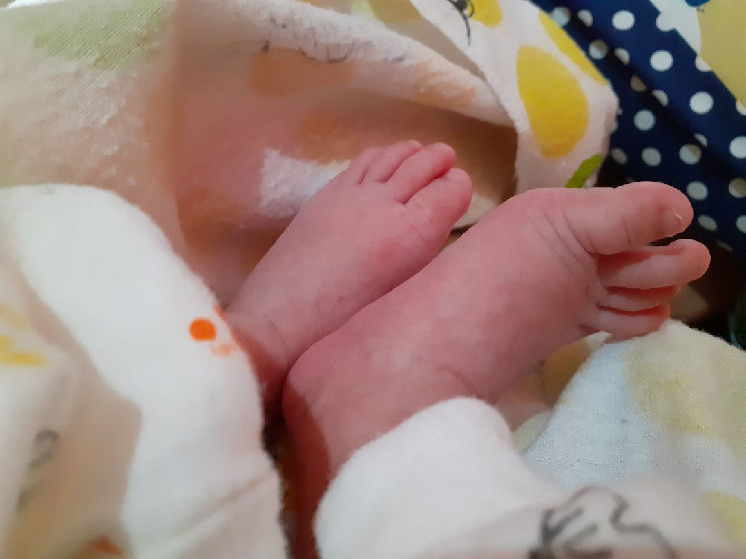 isna setiawan profile icon