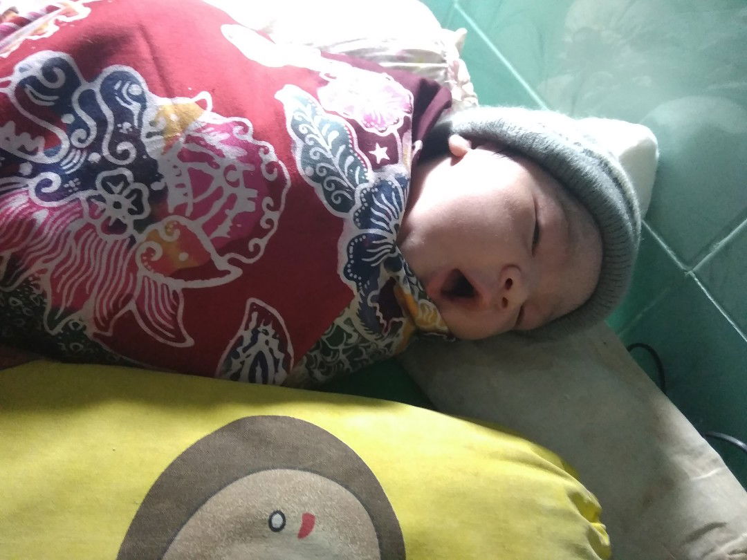 kapok2 lombok kata org jawa