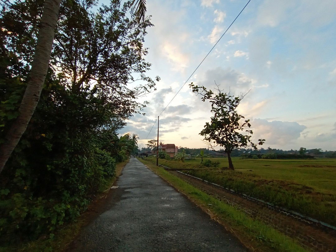 Arya Desi Riyanti profile icon