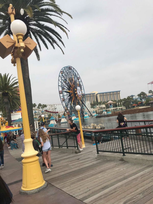 Rachi Vielka profile icon